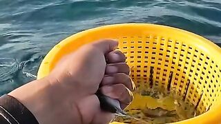 Fishing big fish ‼️