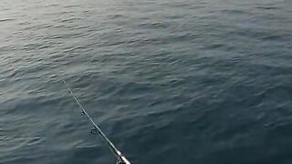 Best spot for fishing‼️