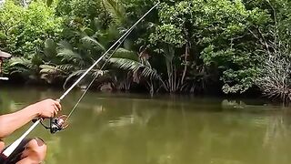 Reeling in serenity, one catch at a time