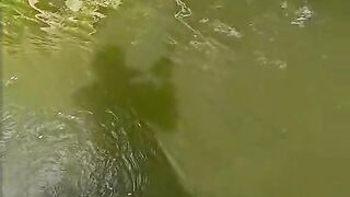 Embracing the tranquil symphony of the waters