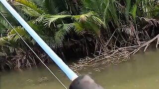 Trading worries for the simplicity of a line and bait