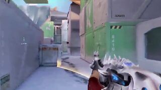 perfect chamber 4k with vandal