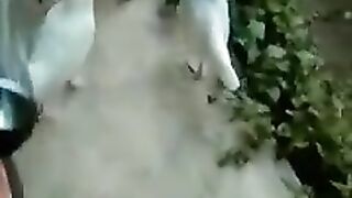 My Chicken