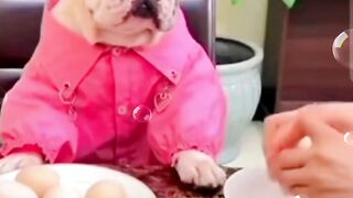 قرفتنىيابن اللذينه