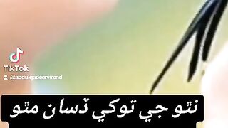 New sindhi status