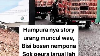 ayam broiler || kata kata lucu 361