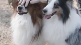 FUNNY video 3