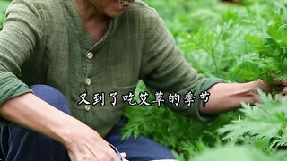 Mugwort Leaves