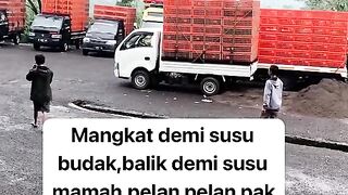 ayam broiler || kata kata lucu 365