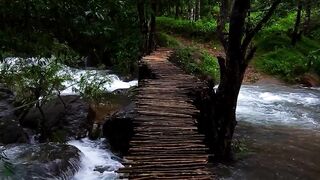 Wayanad 2