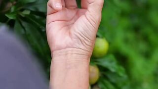 STIR-FRIED PLUMS WITH BEEF ENTERNS