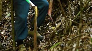 Soaked Bamboo Shoots