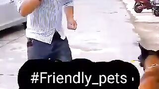 # friendly _pets_# friendly _pets