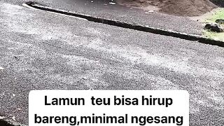 ayam broiler || kata kata lucu 369