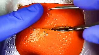 Fruits delivery funny video