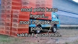 ayam broiler || kata kata lucu 372