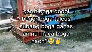 ayam broiler || kata kata lucu 373