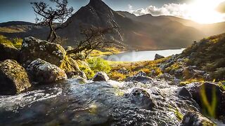 Natural video 129