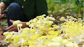 MUSHROOM