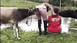 THE END ???????????? Try Not To Laugh #funny #failgag #comedy #funnyfails #viral #shorts