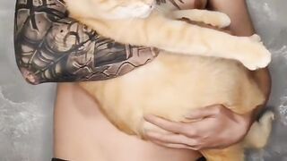 Mon chat 2