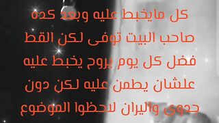 صاحب المنزل توفى شوف القط عمل ايه