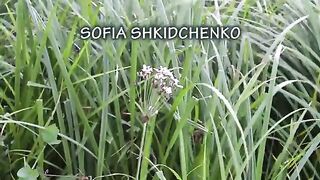 Rihanna - Love On The Brain (cover SOFIA SHKIDCHENKO, 12)