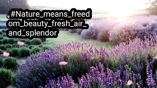 #Nature_means_freedom_beauty_fresh_air_and_splendor