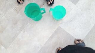 پودے کتنے بڑے ہوئے