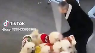 Belle chorégraphie ❤️