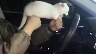 #funnypet 6