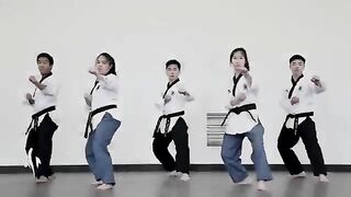 Insane Taekwondo Skills