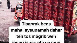 ayam broiler || kata kata lucu 378