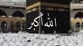video 640
