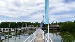 Bantayan mangroves