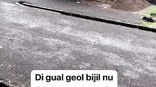 ayam broiler || kata kata lucu 383