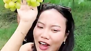 Panen anggur