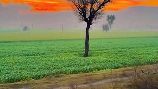 Mera pind 2
