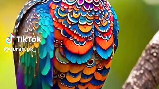 Amazing birds 5