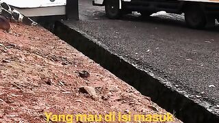 ayam broiler || kata kata lucu 385