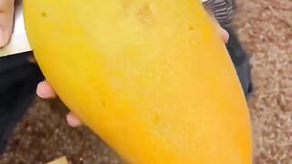 Big mango fruit