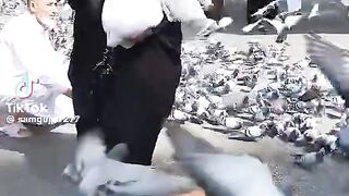اللہ پاک ہم سب کو حاضری نصیب فرمائے آمین ثم آمین