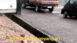ayam broiler || kata kata lucu 386