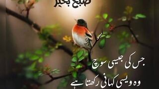 beautiful Urdu quotes 14