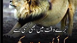 beautiful Urdu quotes 15