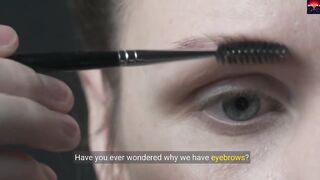 Why do we have eyebrows What is its function ?