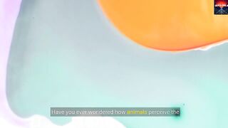 How Do We Know How Animals See and What Colors They Distinguish?