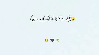 Urdu poetry ❤️