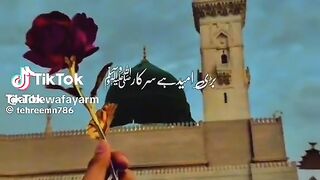 Natt shreef