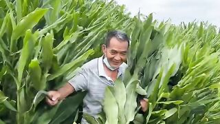 Berkebun 6